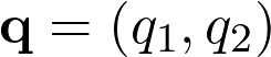 \mathbf{q}=(q_1, q_2)